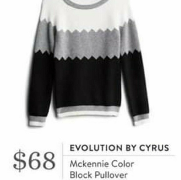 Evolution by Cyrus Sweaters - NWT Stitch Fix Evolution by Cyrus Sweater